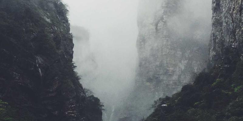 飞飞预测网数据分析工具主界面仪表盘展示，包含多种统计图表与数据可视化面板的软件截图